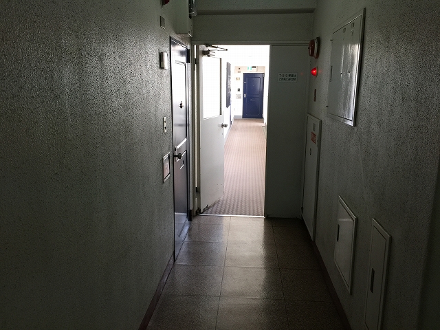秀和清水池レジデンス　廊下