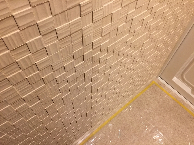 秀和清水池レジデンス　玄関エコカラット