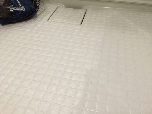 秀和清水池レジデンス　バスルーム