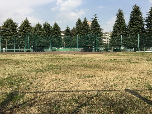 キャッスル世田谷　周辺環境