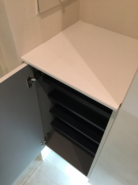 シーアイマンション碑文谷　シューズボックス