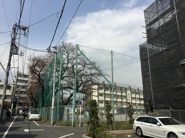 シーアイマンション碑文谷　周辺環境