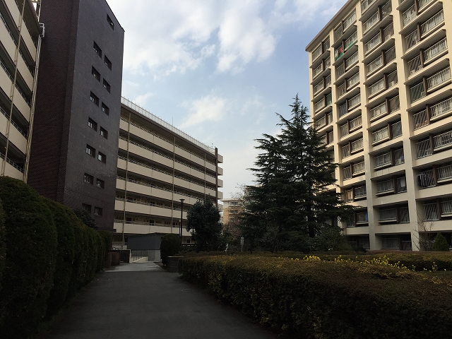 烏山南住宅　中庭