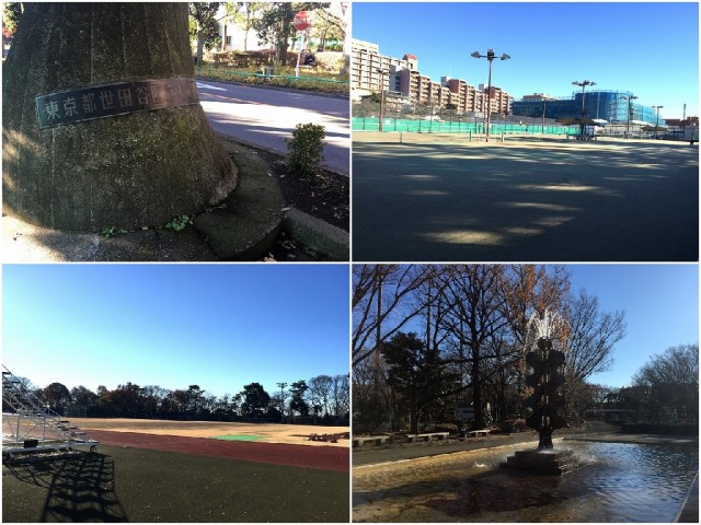 成城エンジェルマンション　大蔵運動公園