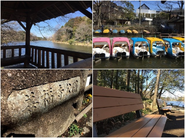 ダイアパレスエクセレント荻窪　周辺環境