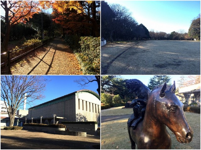 成城エンジェルマンション　砧公園