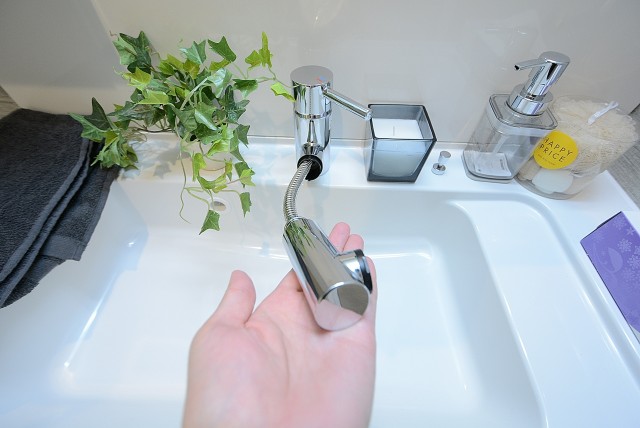 日興パレス文京 洗面