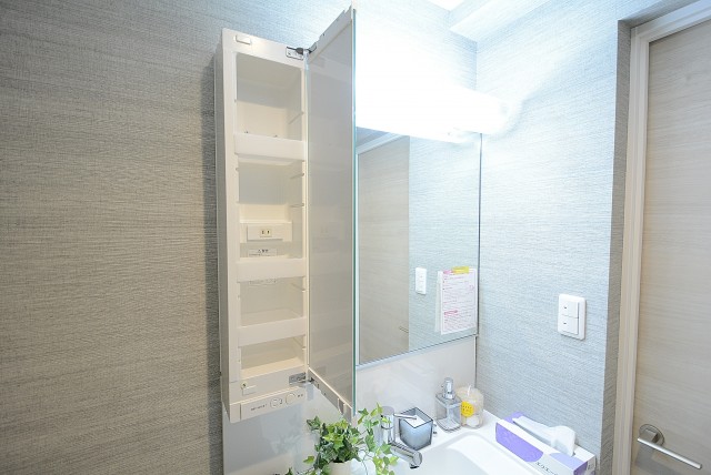 日興パレス文京 洗面