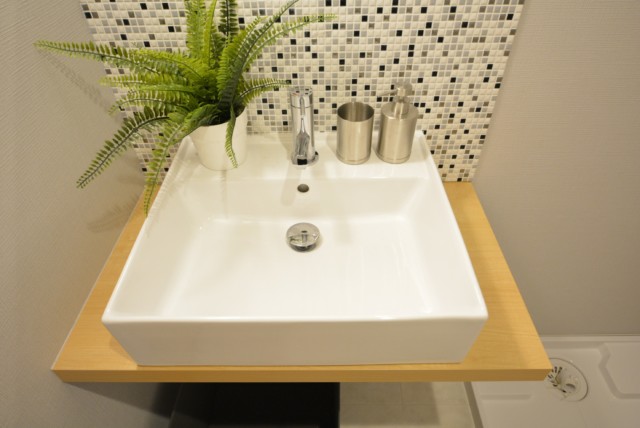 ヒルズ代官山 洗面室