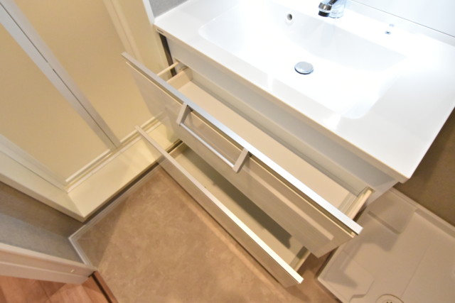 秀和代々木レジデンス 洗面室