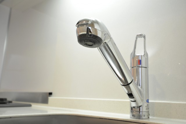 上馬フラワーホーム キッチン