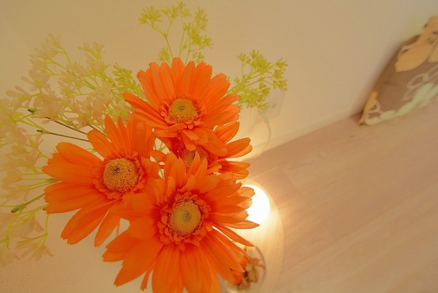 駒込コーポラス