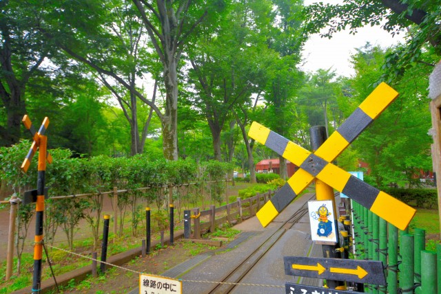 池尻大橋周辺 世田谷公園