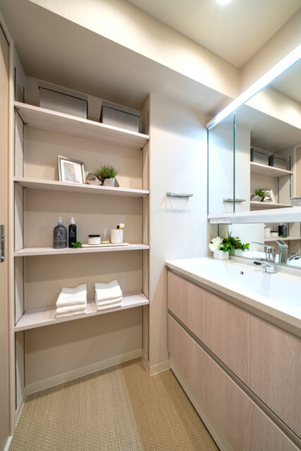 ルイシャトレ新中野 洗面室