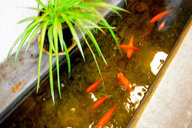 宮園キャピタルマンション エントランス