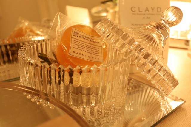 田町スカイハイツ パウダースペース