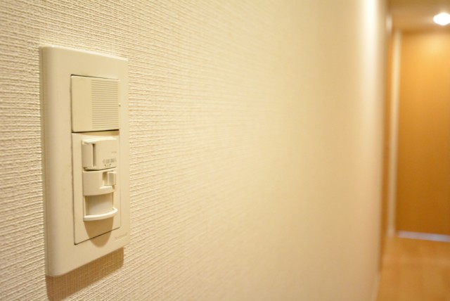 ルピナス桜上水 玄関