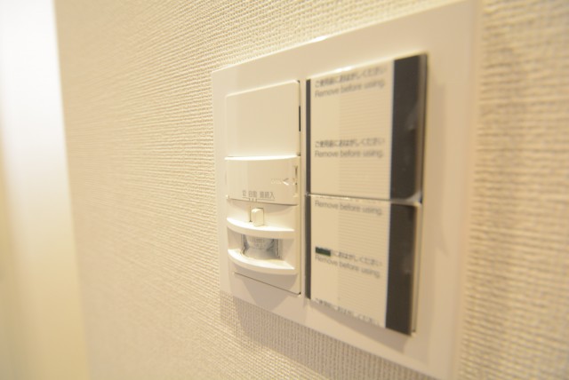 三田ダイヤモンドパレスA棟 (29)玄関