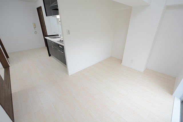 ハイネス大久保 DK