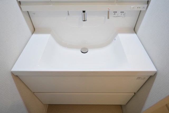 ルピナス桜上水 洗面室