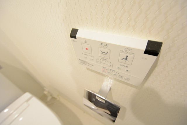 ハイネス大久保 トイレ