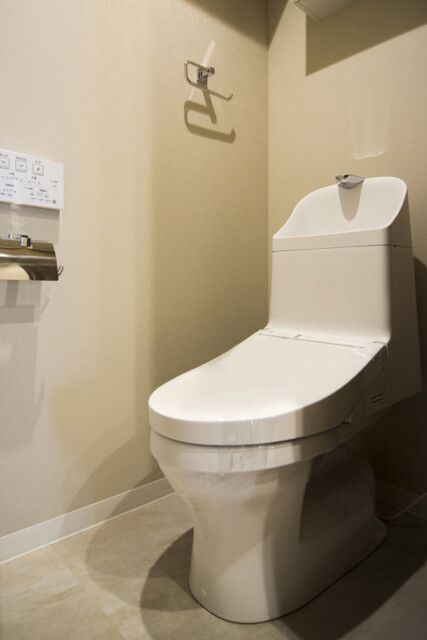 第23宮庭マンション 6-D トイレ