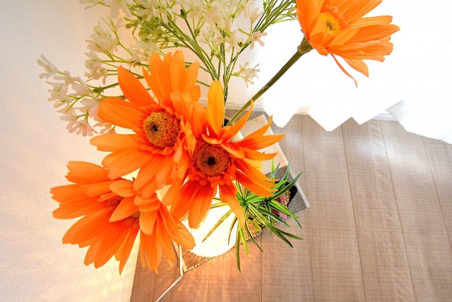 上馬シティホーム 周辺環境