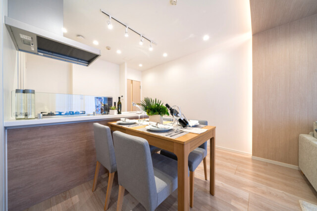 ルイシャトレ新中野 DK