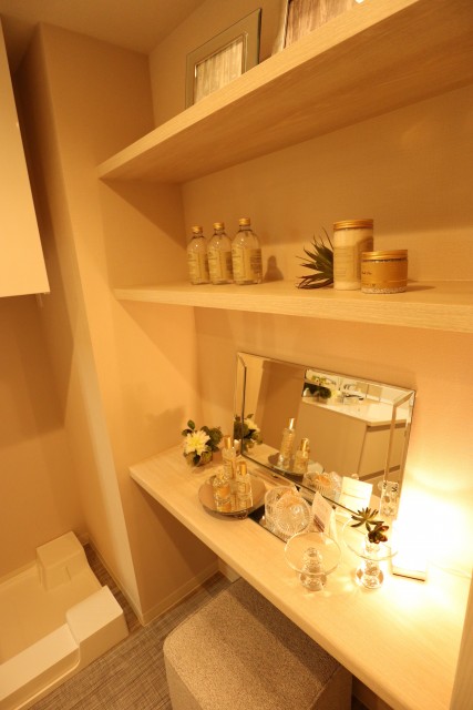 田町スカイハイツ パウダースペース