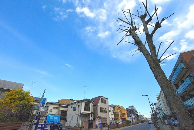 上馬シティホーム 周辺環境