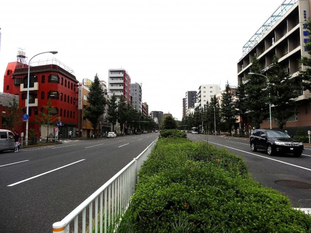 グランドメゾン白山　白山通り