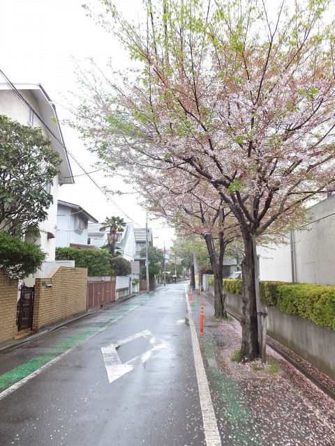 成城アンバサダー　成城大学近辺