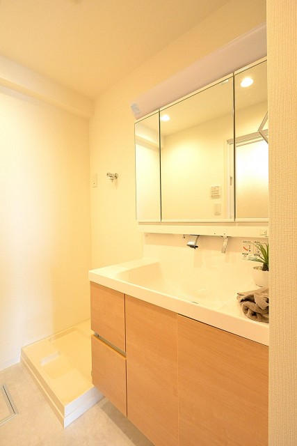 プチモンド目白　洗面台