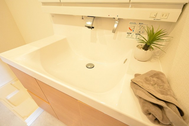 プチモンド目白　洗面台