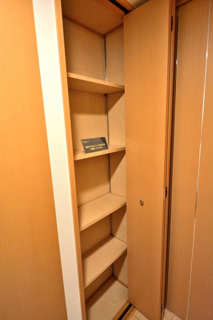 ルピナス桜上水　廊下物入