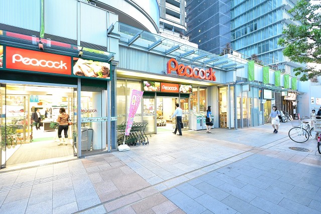 デューク・スカーラ日本橋_周辺