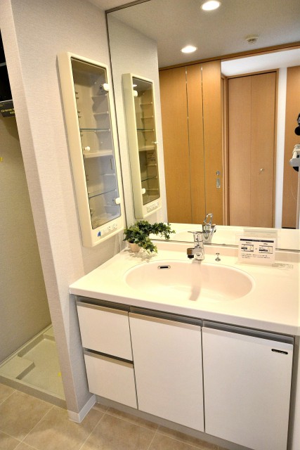 ルピナス桜上水　洗面台