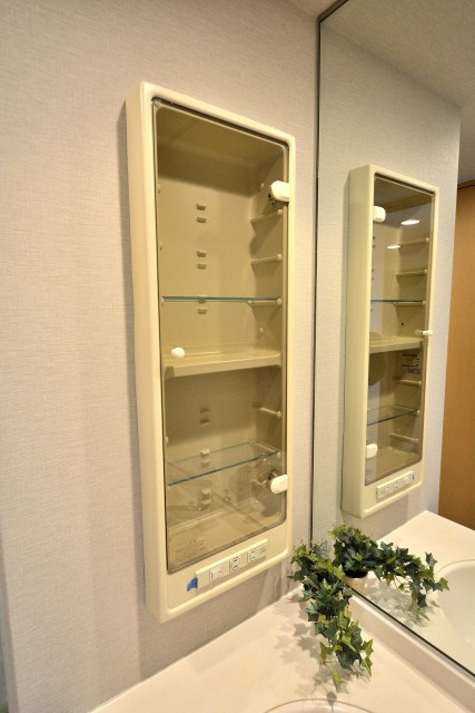 ルピナス桜上水　洗面台