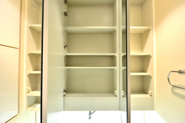 ルイシャトレ新中野　洗面台