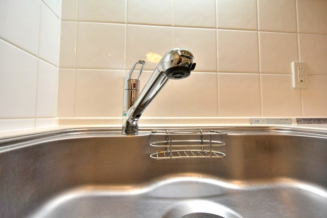 ルイシャトレ新中野　キッチン