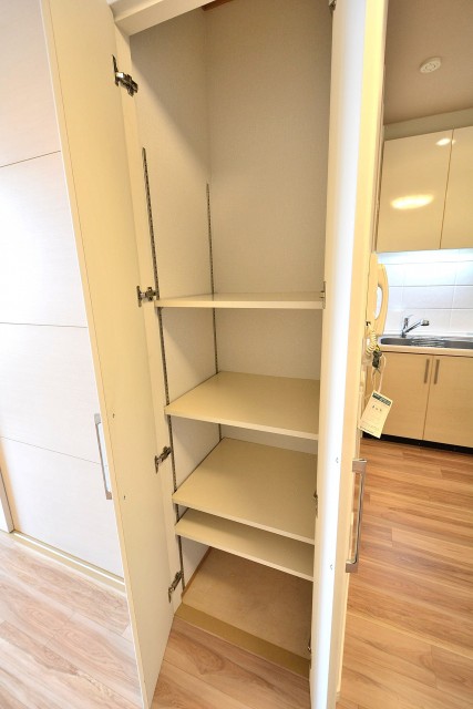 ルイシャトレ新中野　リビング物入