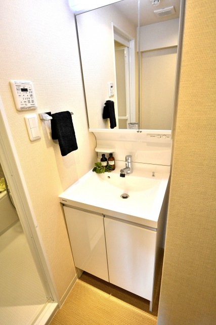 エントピア五月園　洗面台