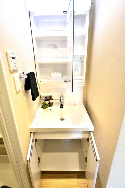 エントピア五月園　洗面台