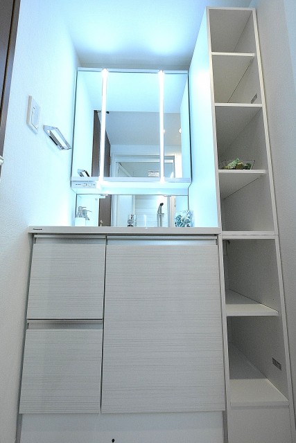 デューク・スカーラ日本橋_洗面台