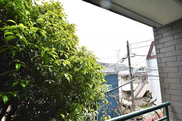 パーク・ハイム西荻　バルコニー