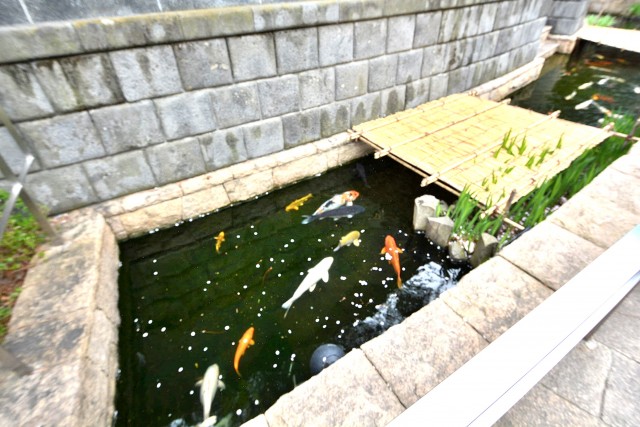 ヴェーゼント芦花公園　周辺