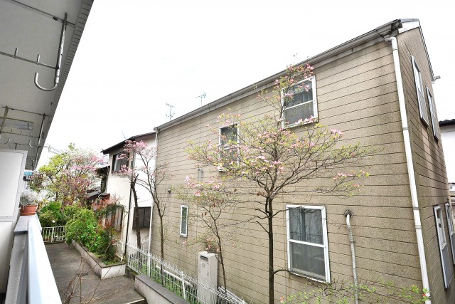 コスモス深沢　バルコニー