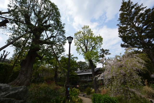 コスモス深沢　周辺