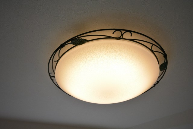 メゾンドール本郷　照明