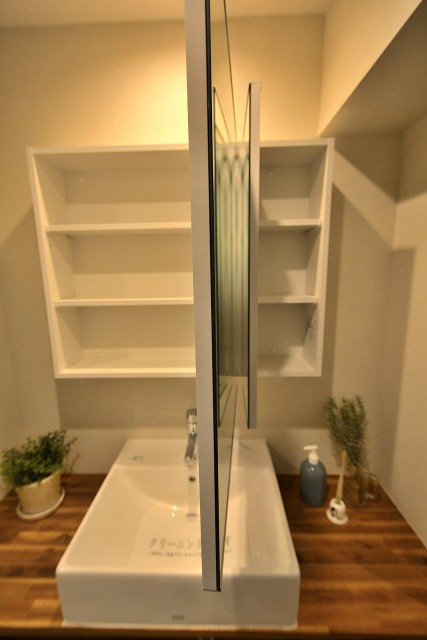 馬事公苑前ハイム1号棟　洗面台